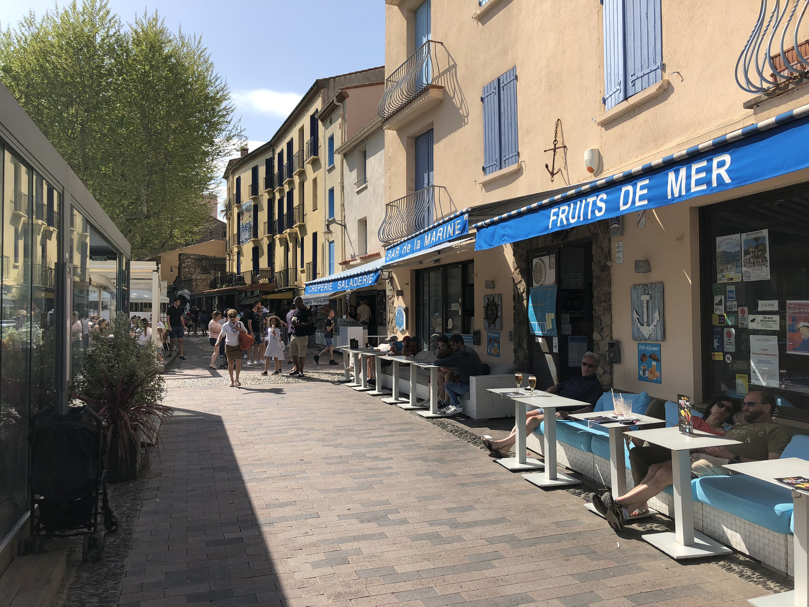 Picture France Collioure 2018-04 368 - Trail Collioure