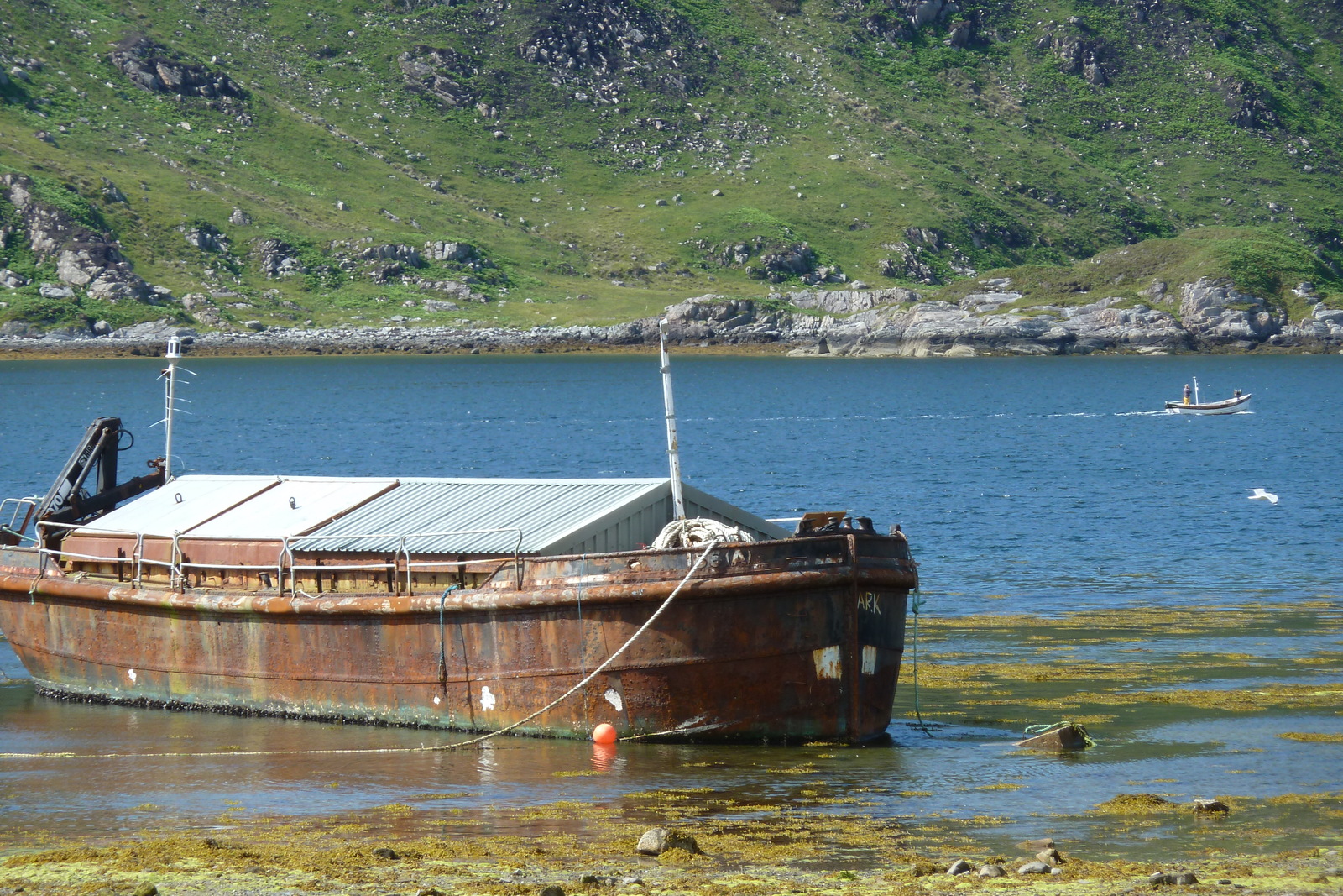 Picture United Kingdom Scotland Salen 2011-07 6 - Photographer Salen