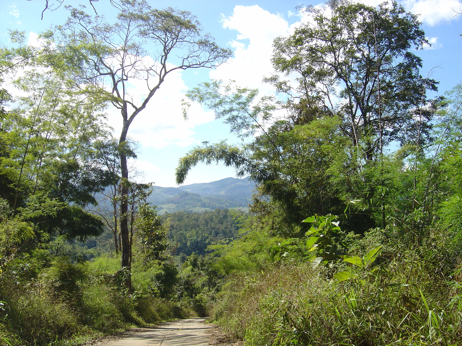 Picture Thailand Pang ma pha 2005-12 175 - Visit Pang ma pha