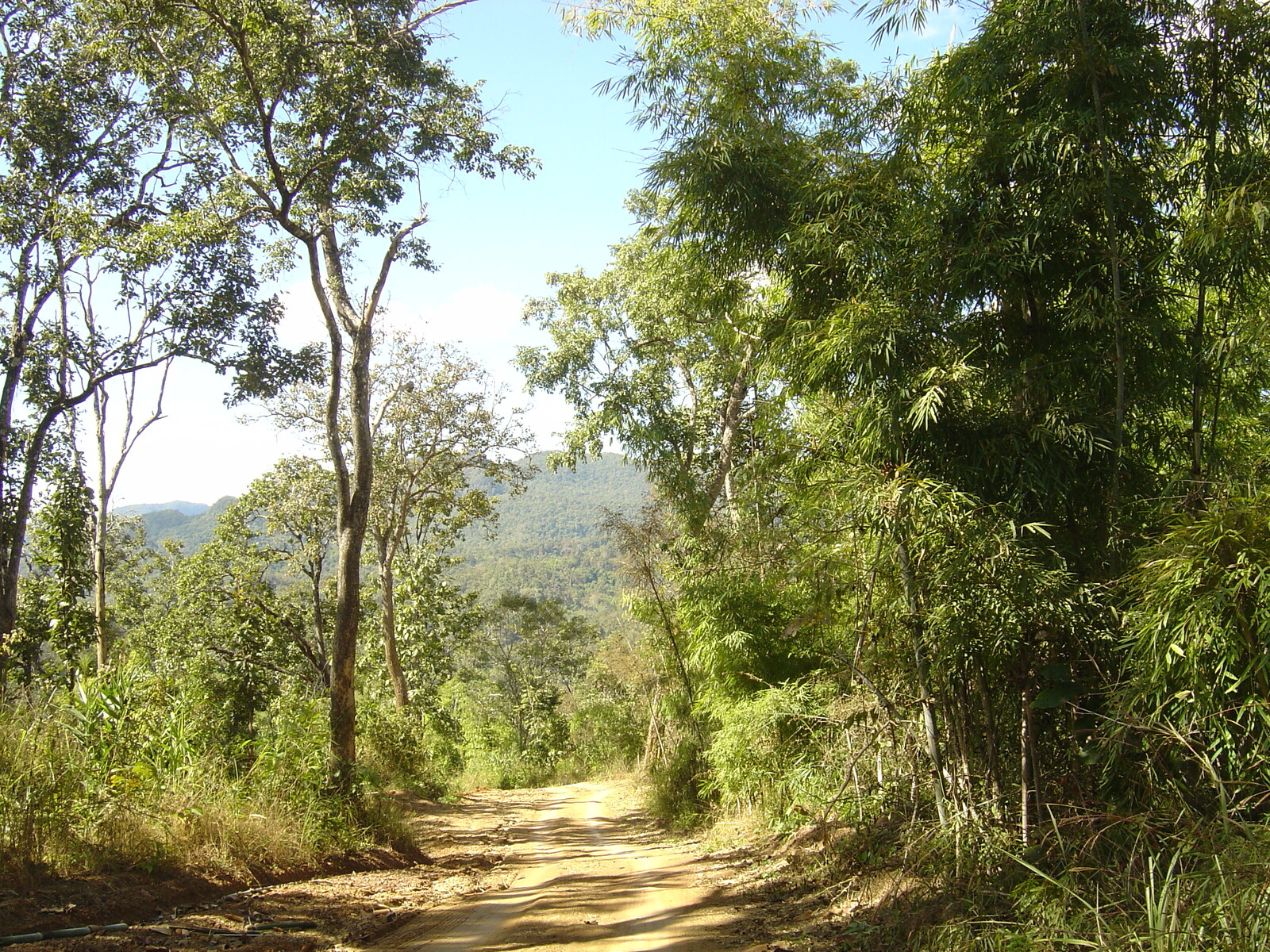 Picture Thailand Pang ma pha 2005-12 190 - Visit Pang ma pha