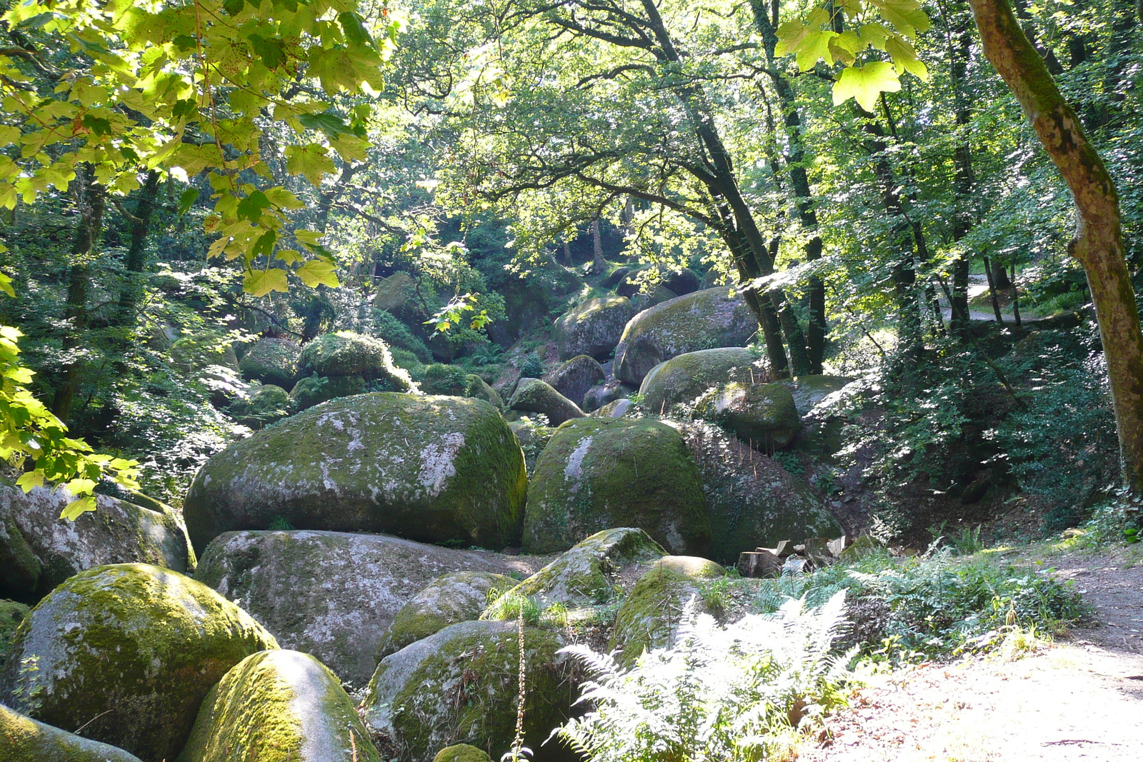 Picture France Huelgoat 2007-08 49 - Photographer Huelgoat