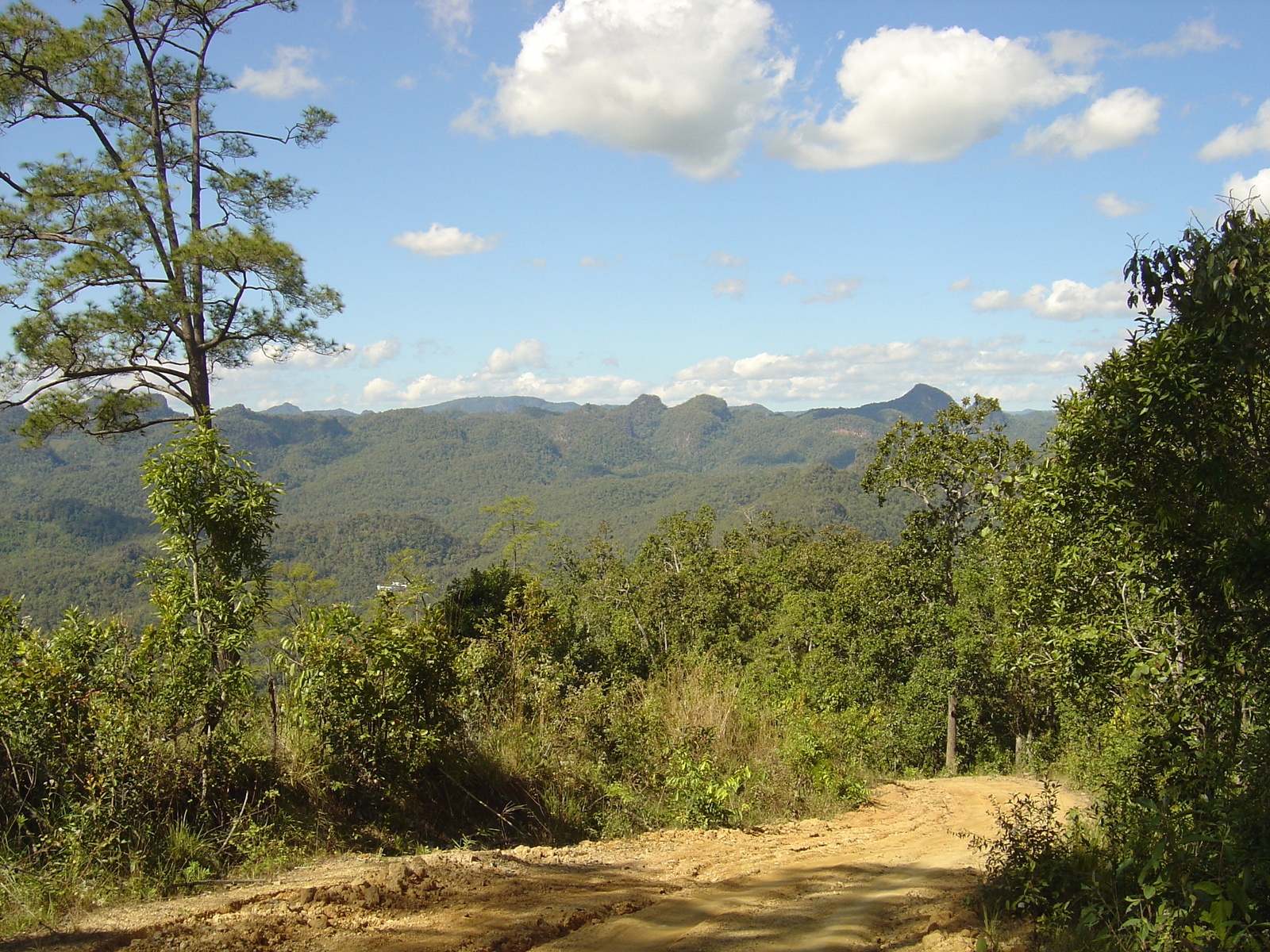 Picture Thailand Pang ma pha 2005-12 176 - Photos Pang ma pha