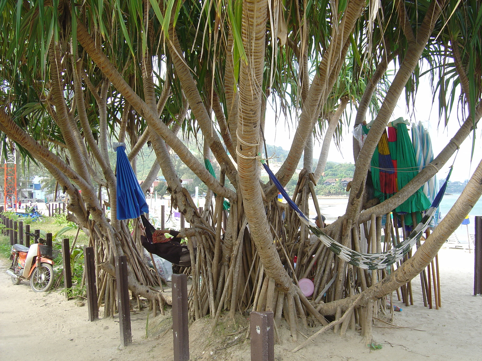 Picture Thailand Phuket Kamala Beach 2005-12 65 - Discover Kamala Beach