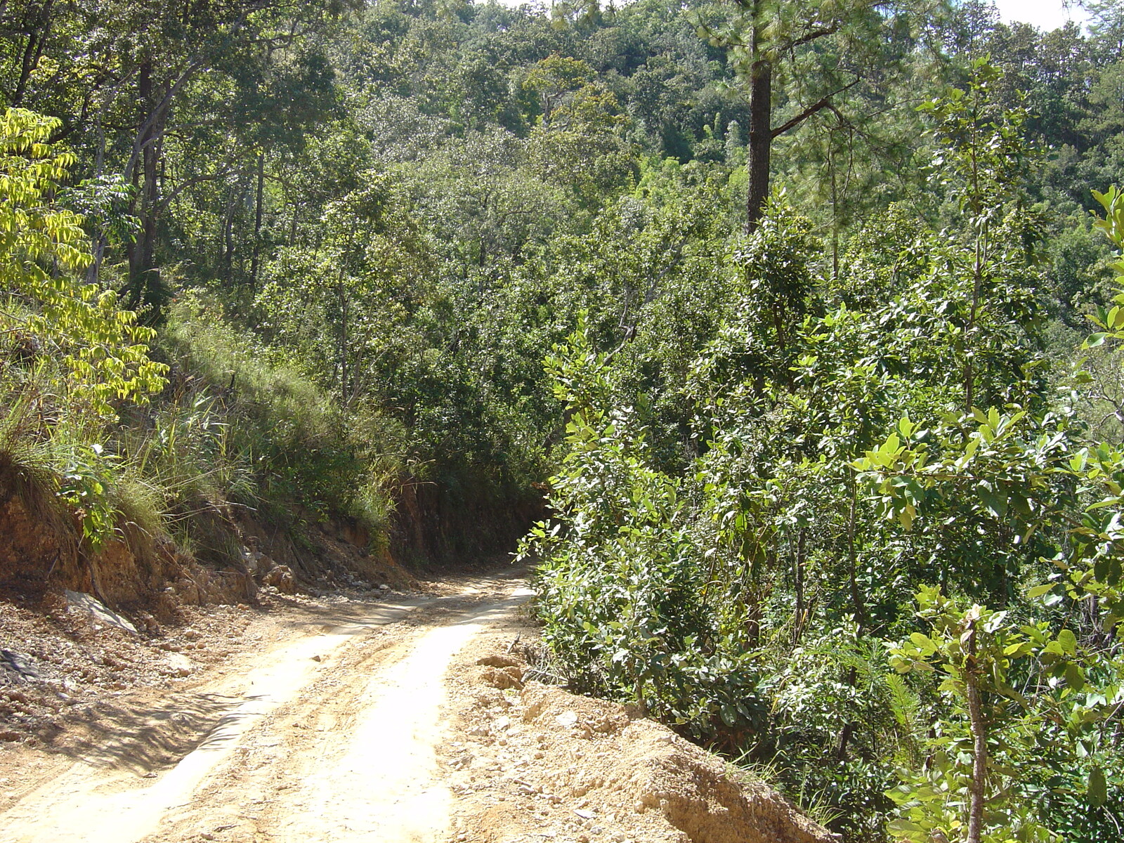 Picture Thailand Pang ma pha 2005-12 223 - Visit Pang ma pha