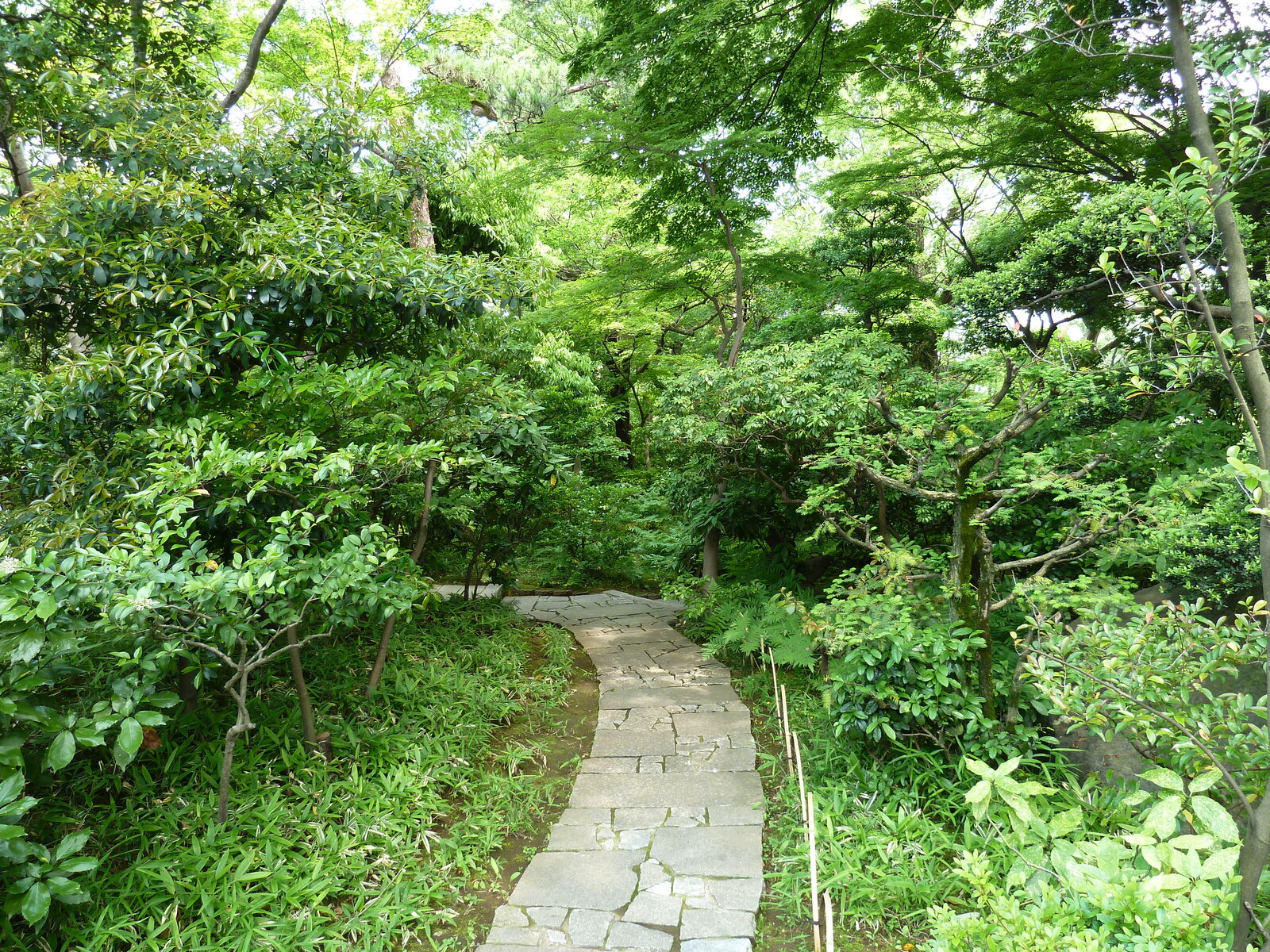 Picture Japan Tokyo Nezu Museum 2010-06 16 - Flights Nezu Museum