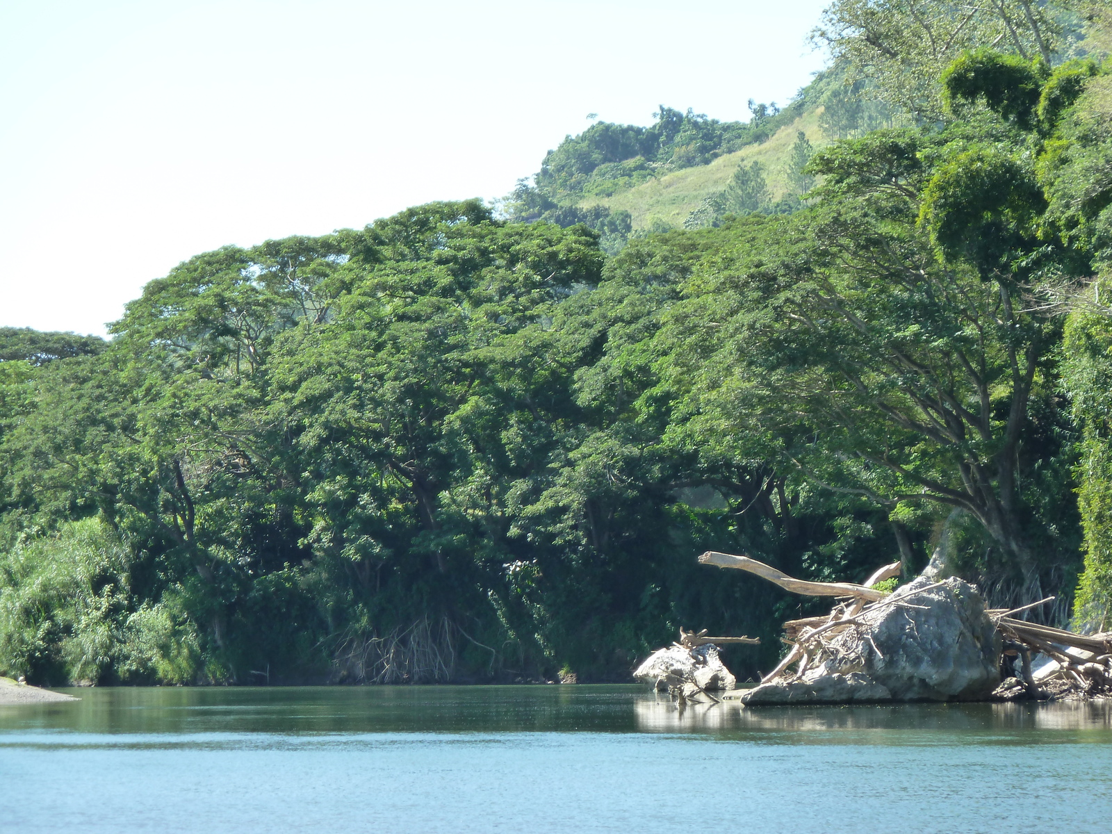 Picture Fiji Sigatoka river 2010-05 90 - Picture Sigatoka river