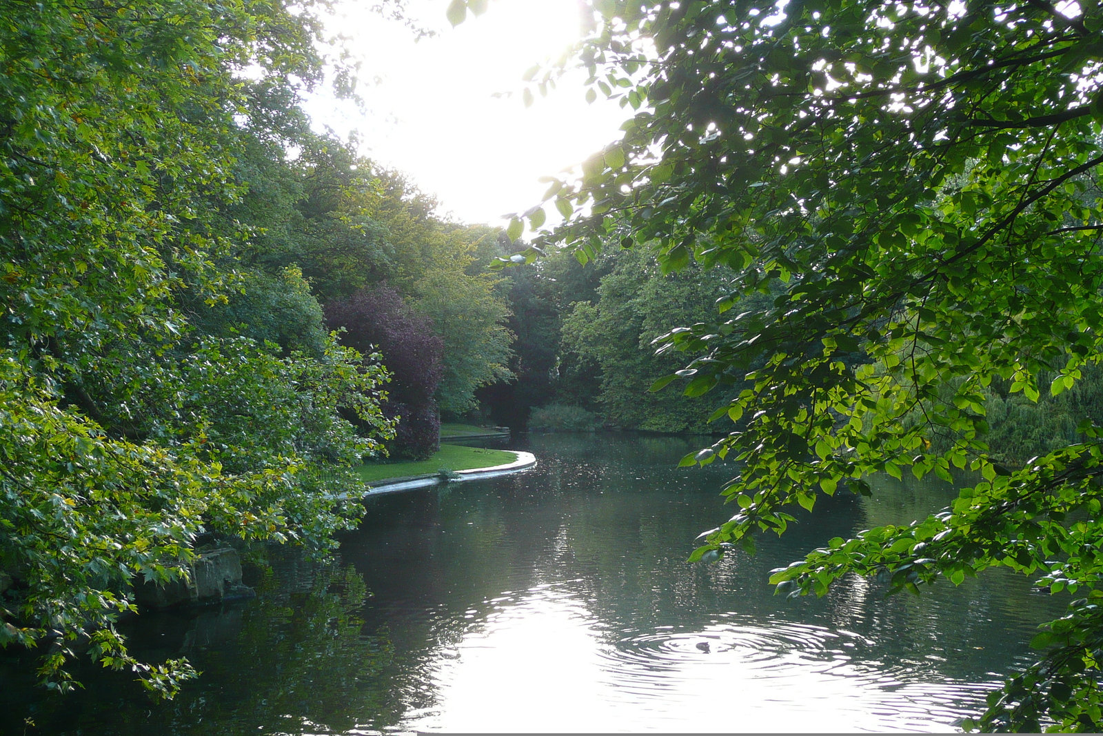 Picture Ireland Dublin St. Stephen's Green 2008-09 40 - Pictures St. Stephen's Green