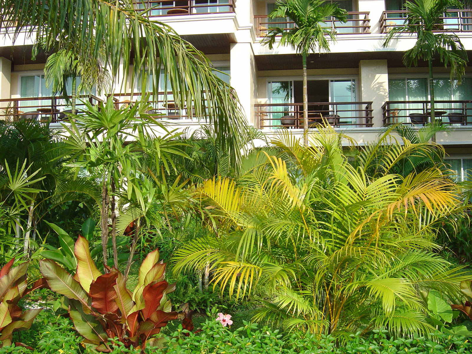 Picture Thailand Khao Lak Meridien Khao Lak Hotel 2005-12 347 - Photographers Meridien Khao Lak Hotel