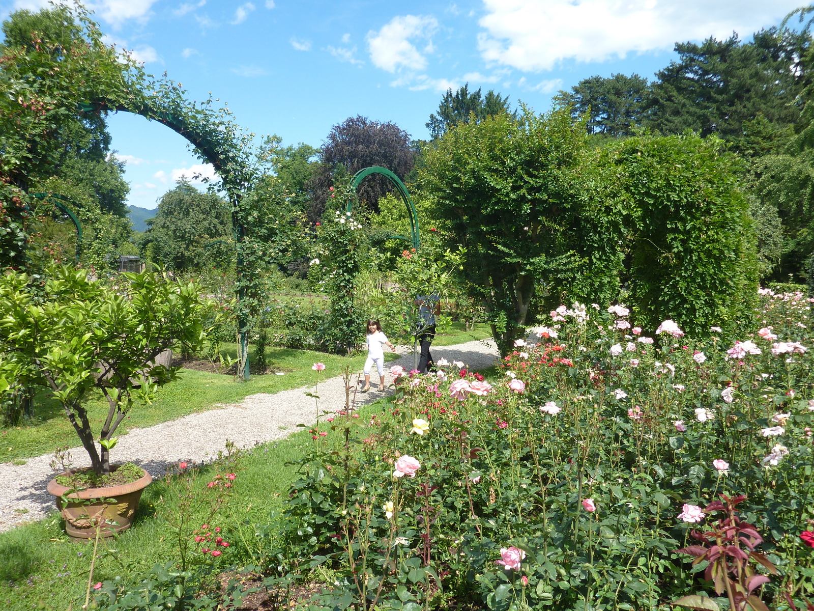 Picture Italy Villa Pallavicino 2009-06 118 - Car Rental Villa Pallavicino