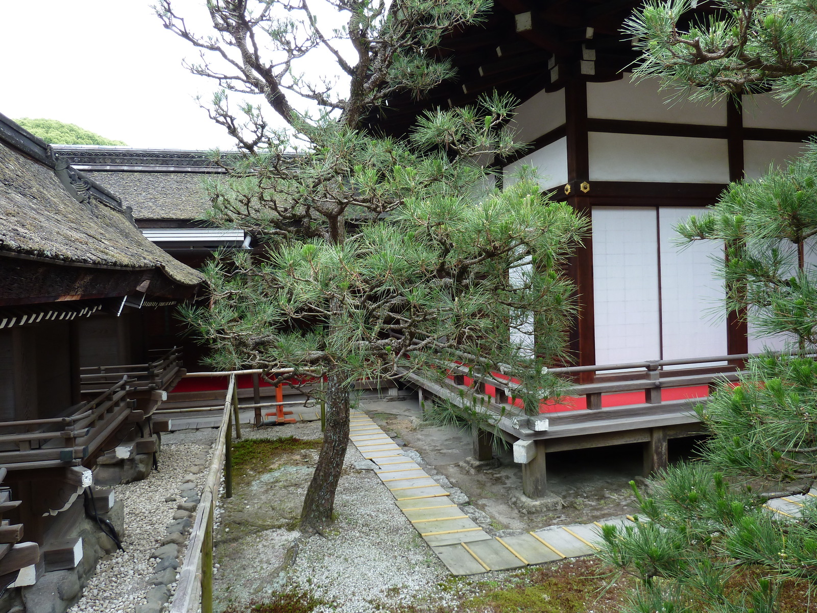 Picture Japan Kyoto Kamomioya Shrine(Shimogamo Shrine) 2010-06 42 - Discover Kamomioya Shrine(Shimogamo Shrine)