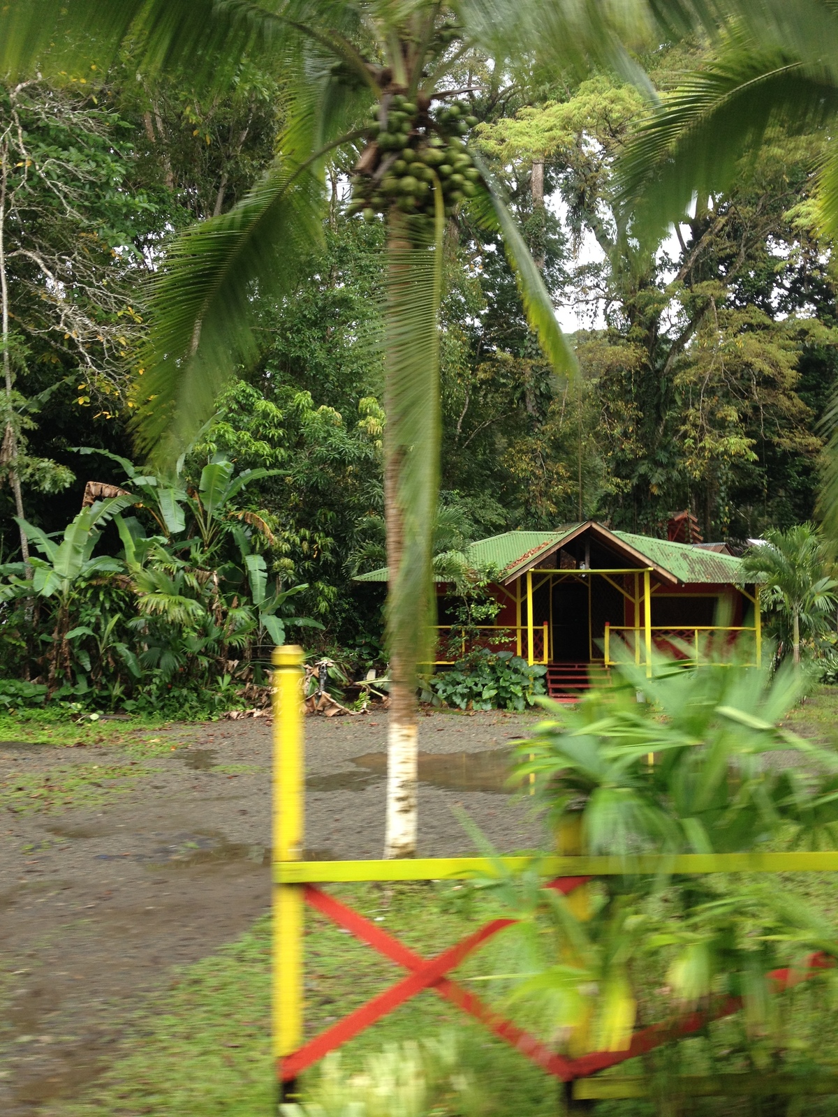 Picture Costa Rica Puerto Viejo de Talamanca 2015-03 61 - View Puerto Viejo de Talamanca