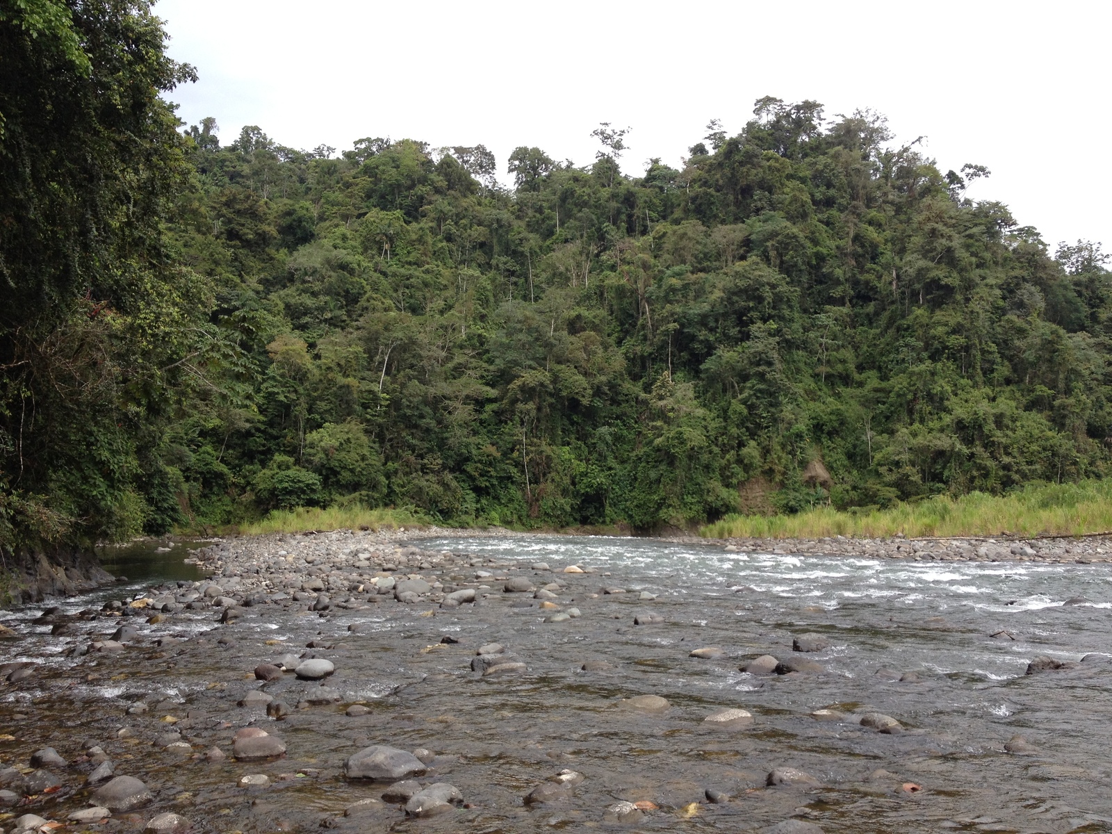 Picture Costa Rica Pacuare River 2015-03 166 - Trip Pacuare River