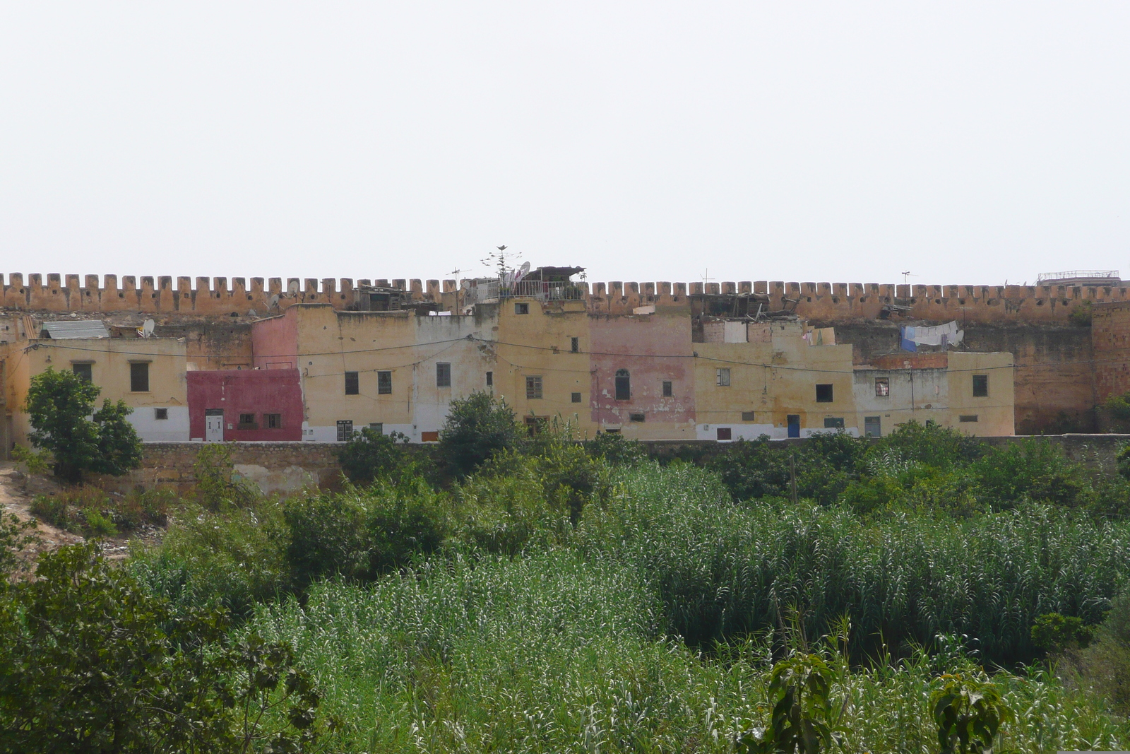 Picture Morocco Meknes 2008-07 35 - Pictures Meknes