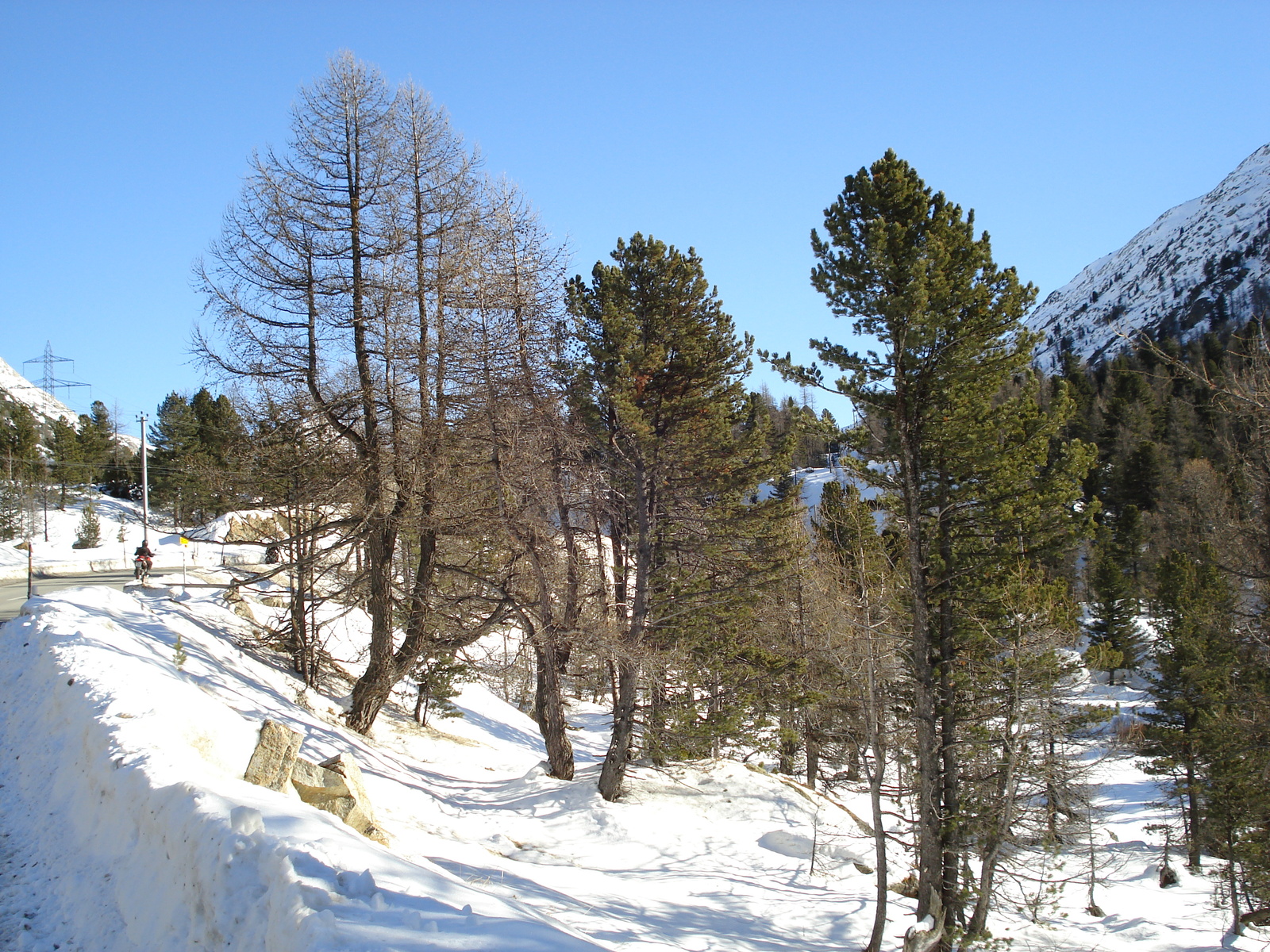 Picture Swiss From Pontresina to Lago Bianco 2007-01 55 - Photographer From Pontresina to Lago Bianco