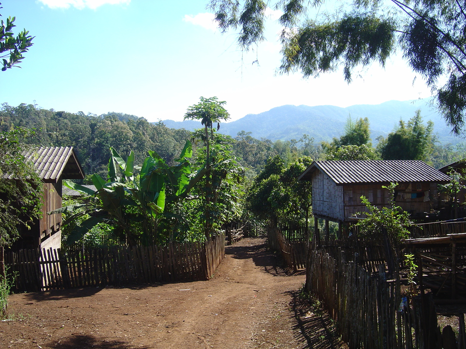 Picture Thailand Pang ma pha 2005-12 27 - Randonee Pang ma pha