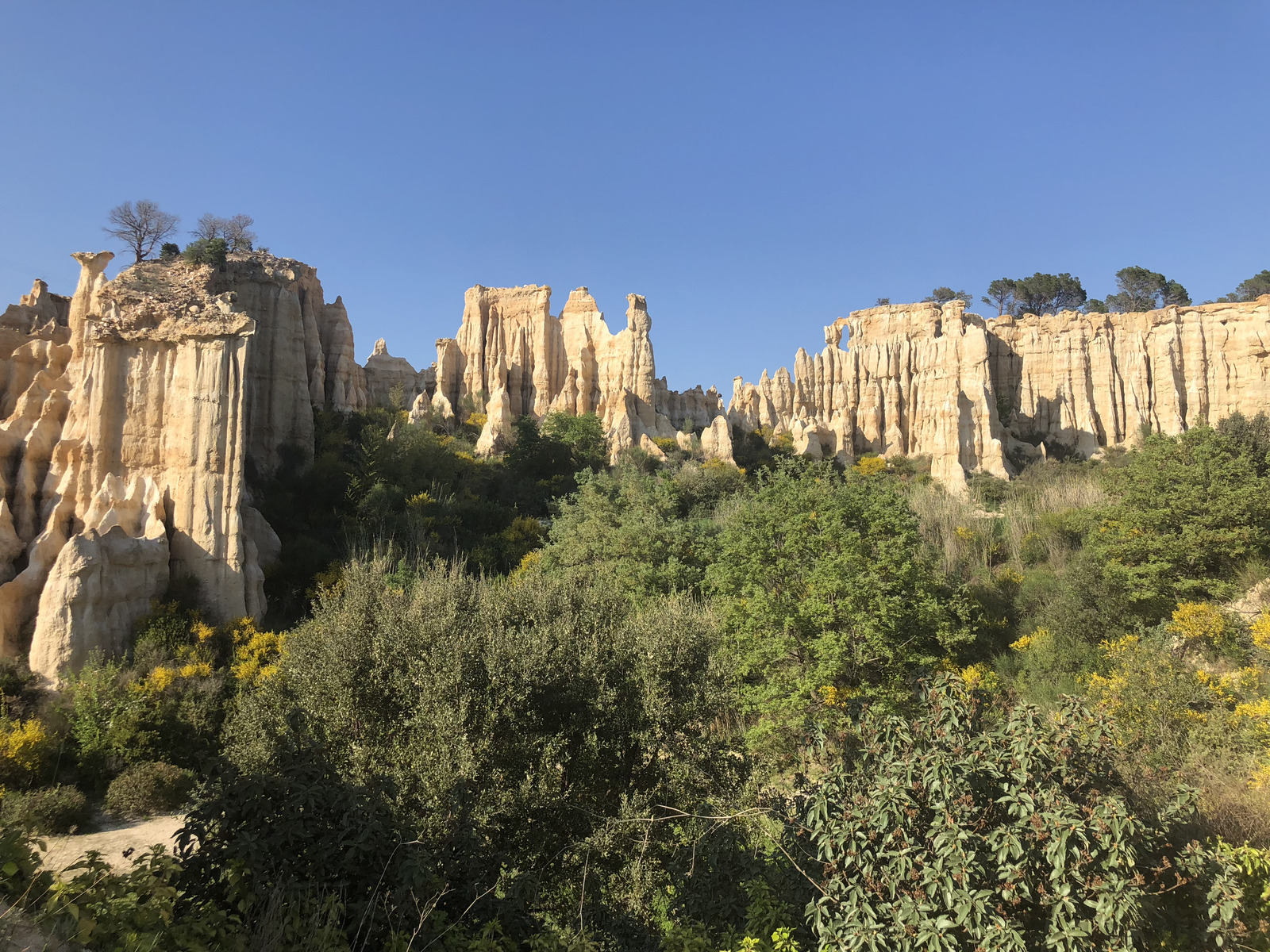 Picture France Orgues d'Ille Sur Tet 2018-04 41 - Flight Orgues d'Ille Sur Tet