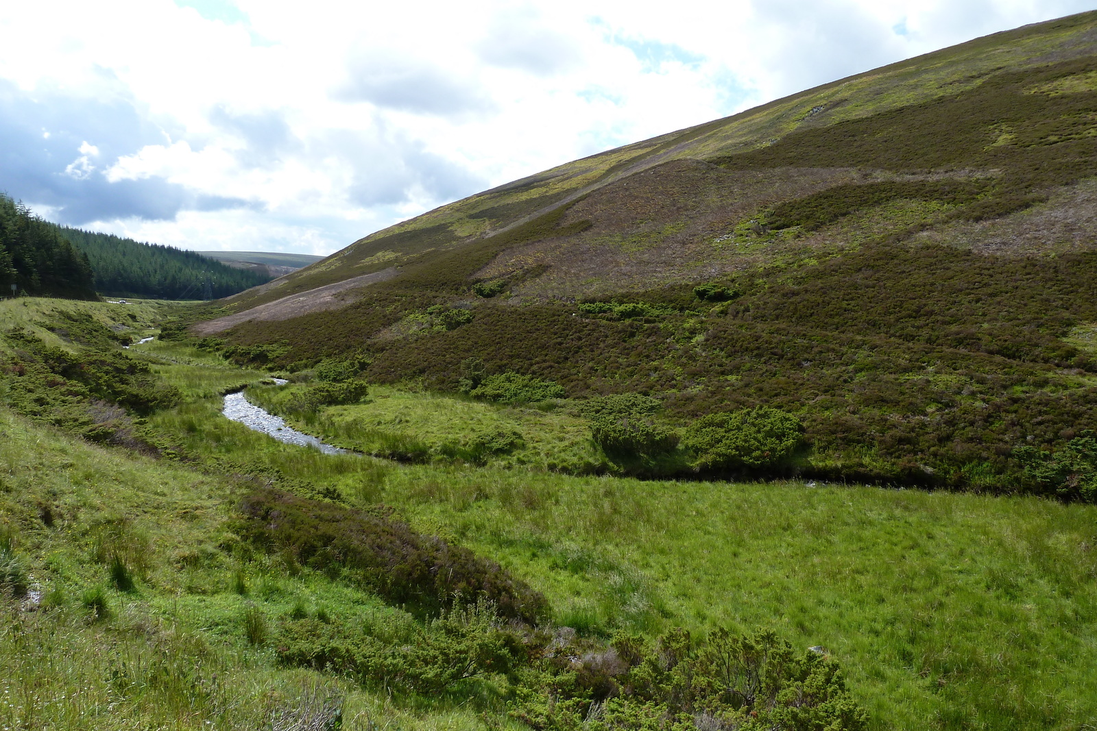 Picture United Kingdom Cairngorms National Park 2011-07 26 - View Cairngorms National Park