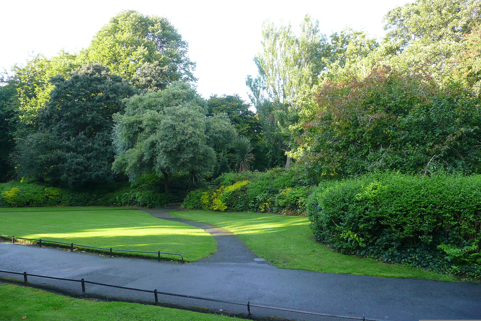 Picture Ireland Dublin St. Stephen's Green 2008-09 4 - Perspective St. Stephen's Green