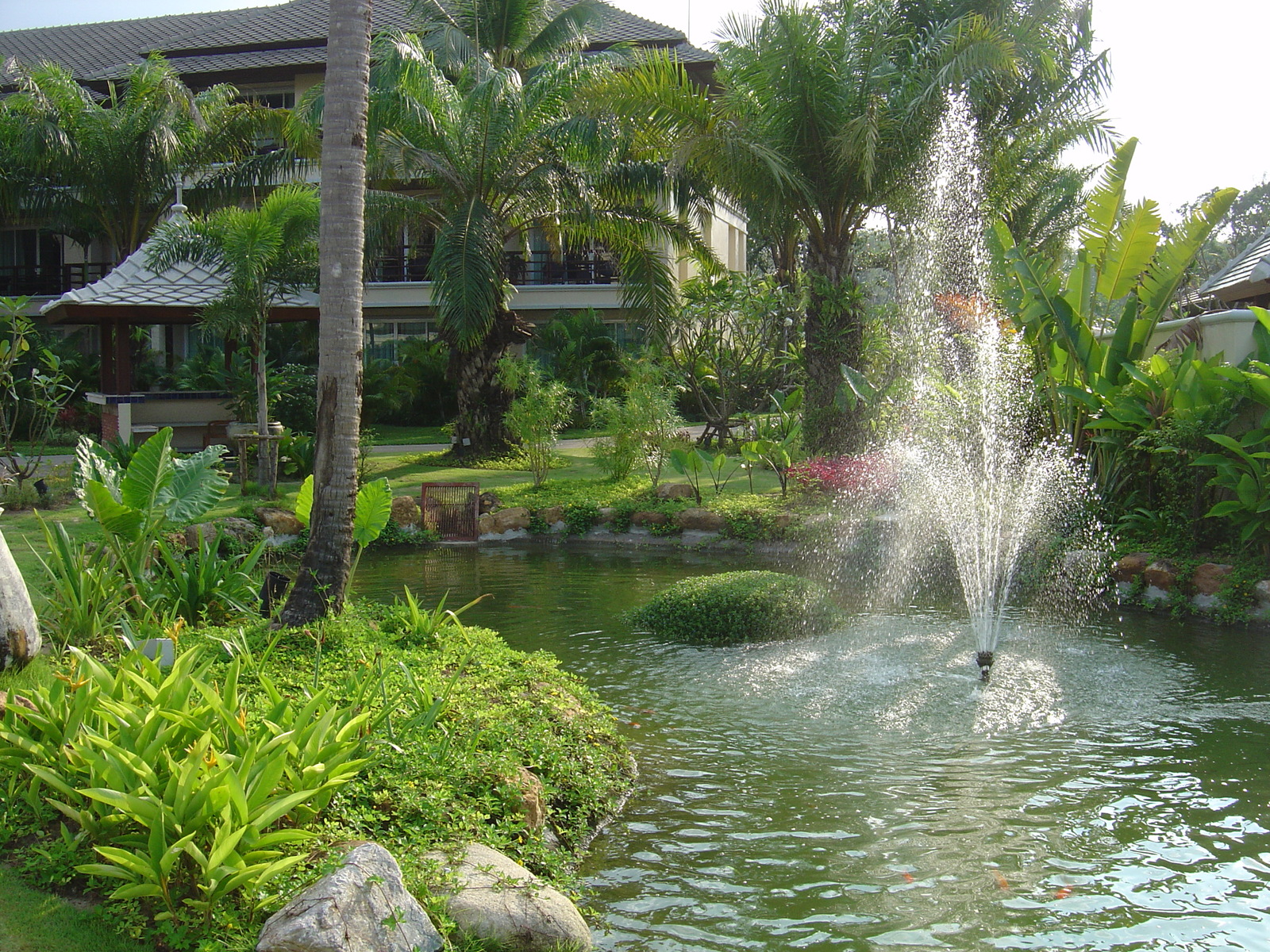 Picture Thailand Khao Lak Meridien Khao Lak Hotel 2005-12 106 - Perspective Meridien Khao Lak Hotel