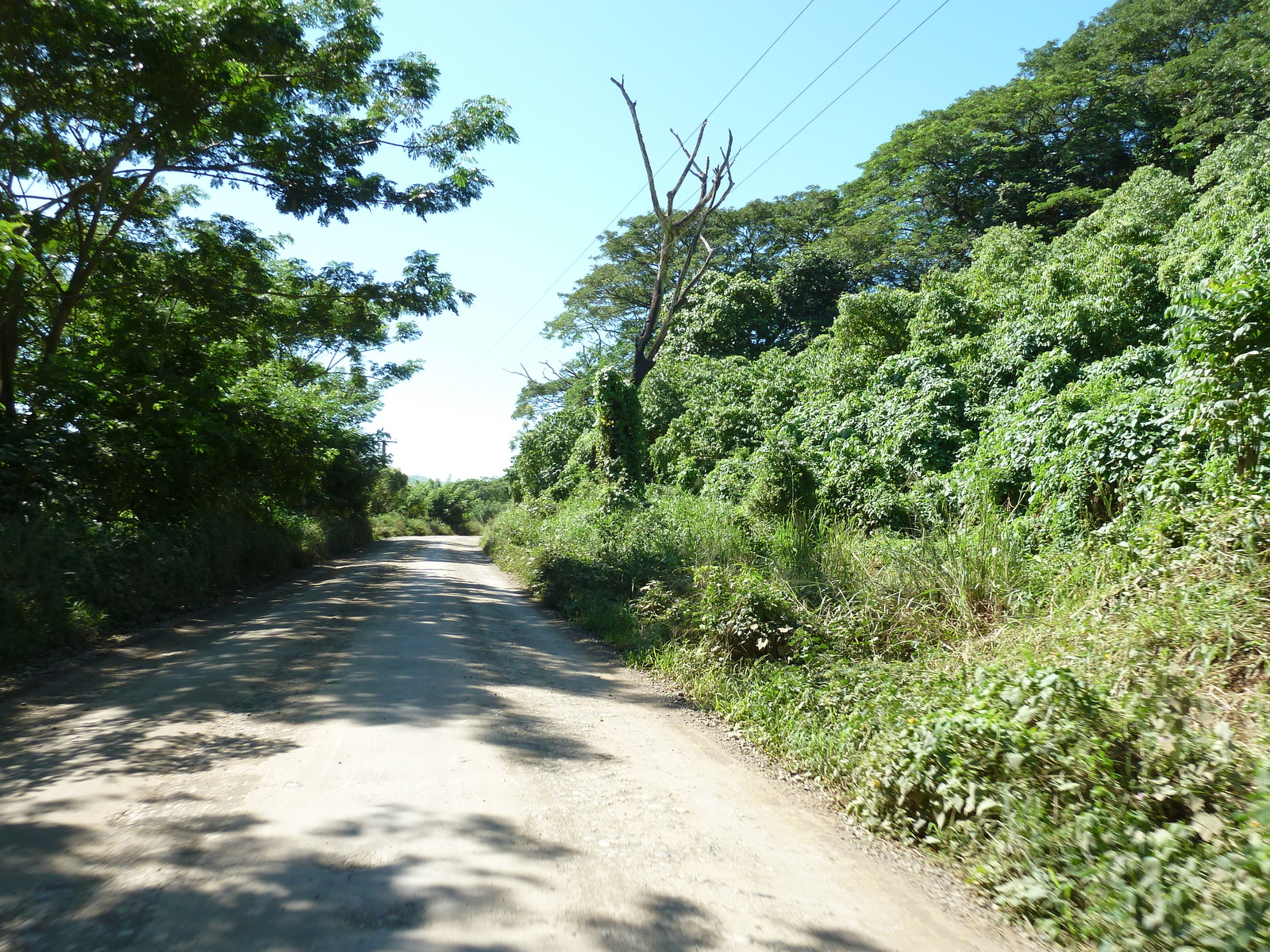 Picture Fiji Sigatoka river 2010-05 36 - Pictures Sigatoka river