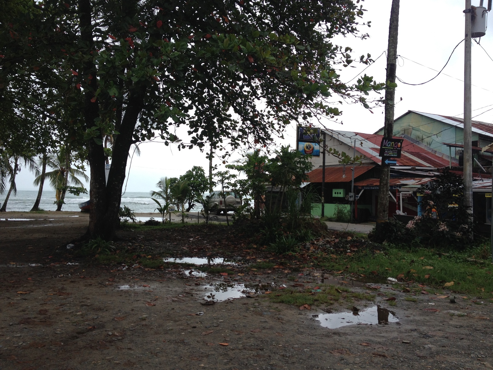 Picture Costa Rica Puerto Viejo de Talamanca 2015-03 81 - Trip Puerto Viejo de Talamanca