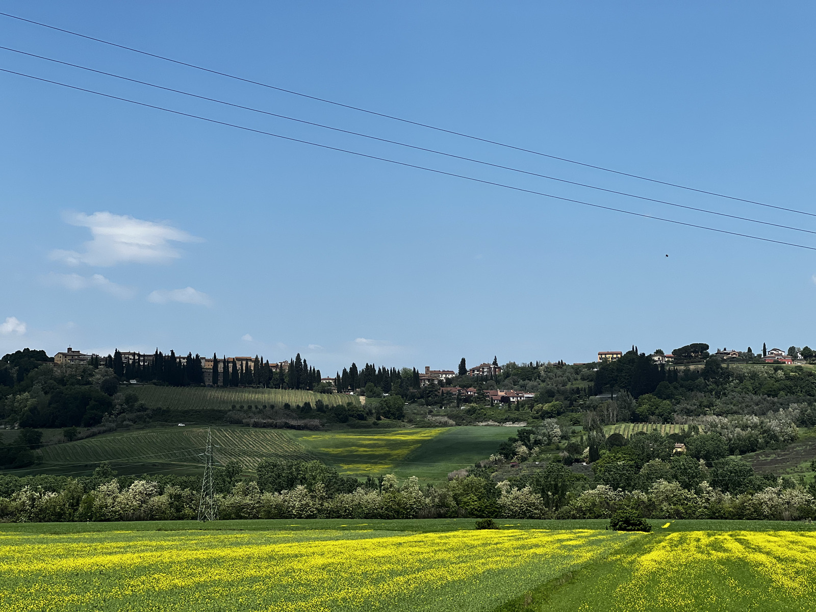 Picture Italy San Gimignano 2022-05 13 - Tourist Attraction San Gimignano