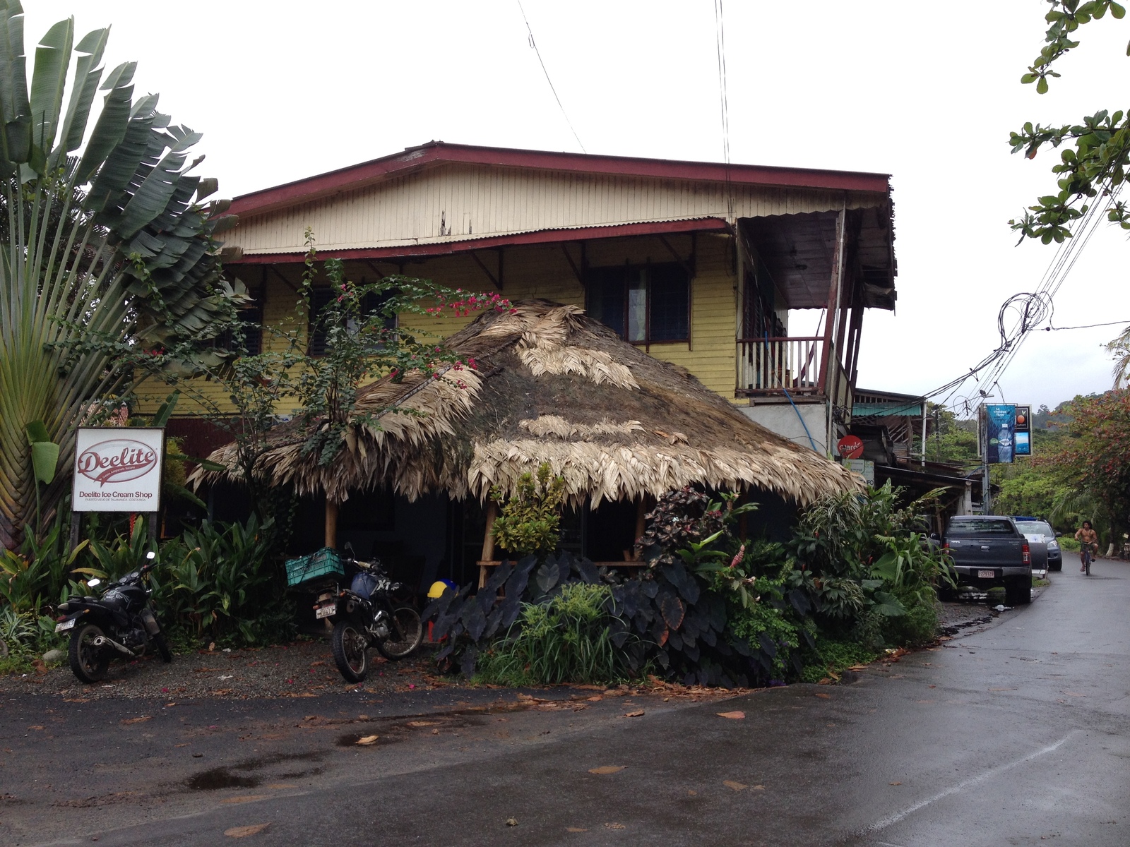 Picture Costa Rica Puerto Viejo de Talamanca 2015-03 60 - Photos Puerto Viejo de Talamanca