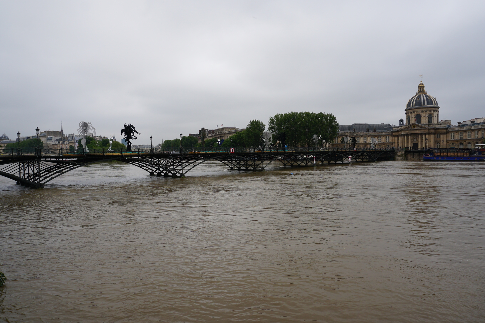 Picture France Paris Seine river 2016-06 39 - Randonee Seine river