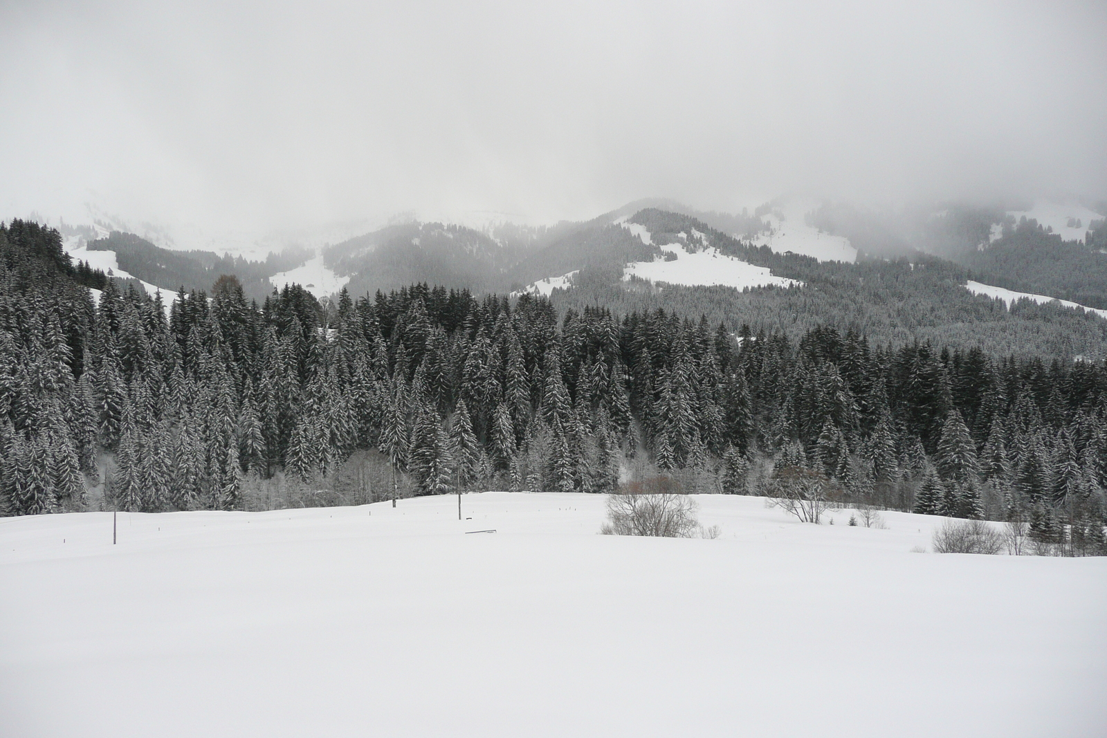 Picture France Megeve Le Planay 2010-02 53 - Sight Le Planay