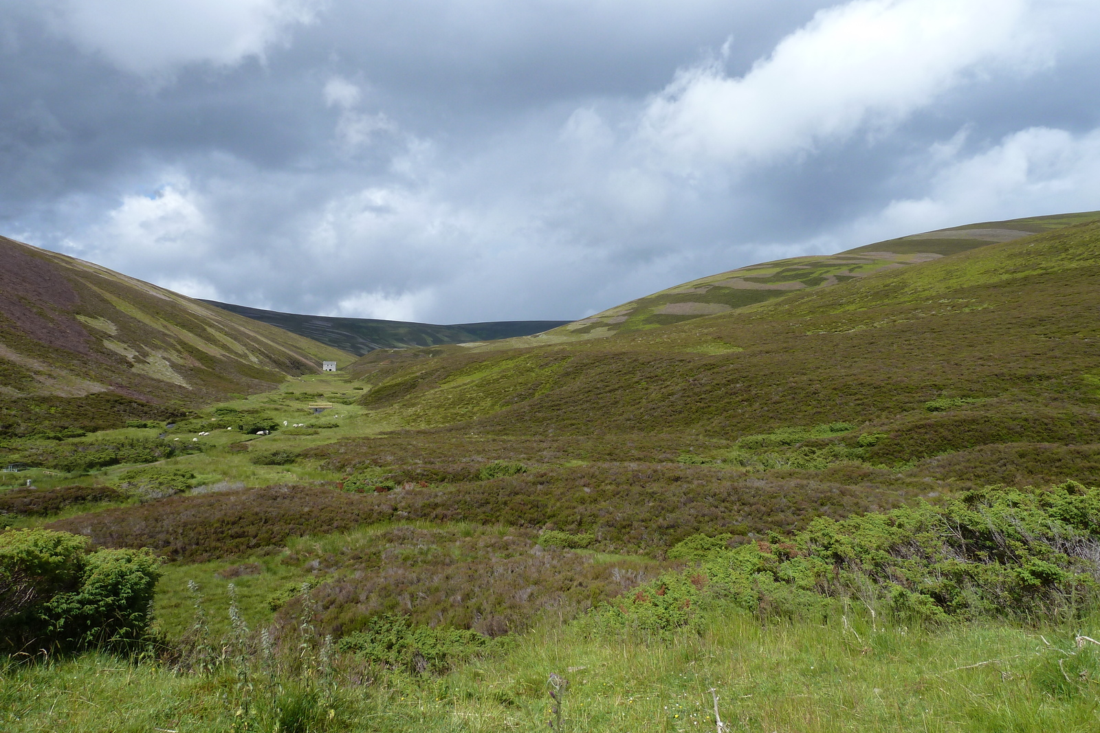 Picture United Kingdom Cairngorms National Park 2011-07 13 - Perspective Cairngorms National Park