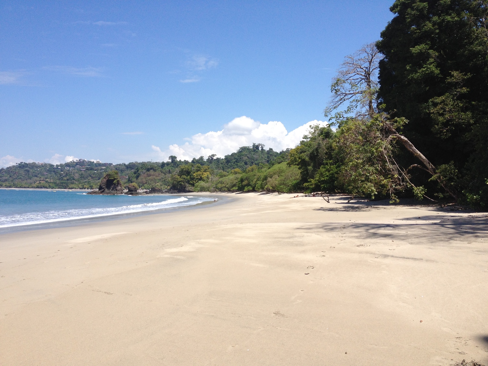 Picture Costa Rica Manuel Antonio 2015-03 313 - Photos Manuel Antonio