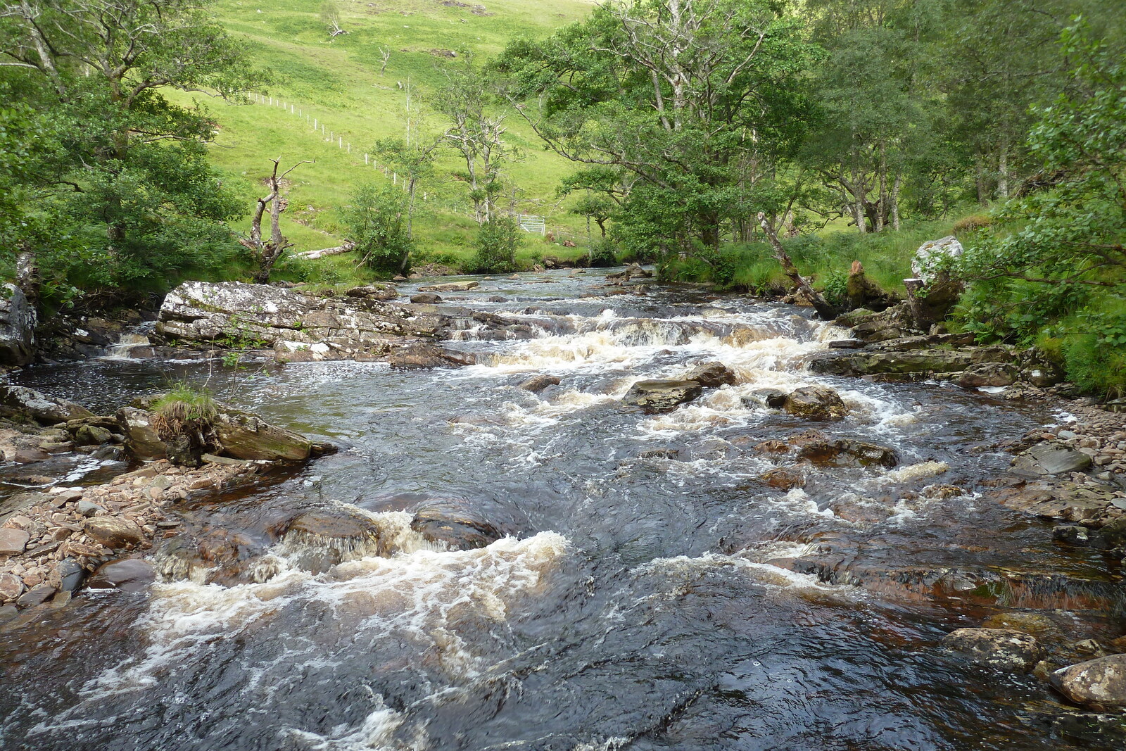 Picture United Kingdom Wester Ross 2011-07 133 - Journey Wester Ross