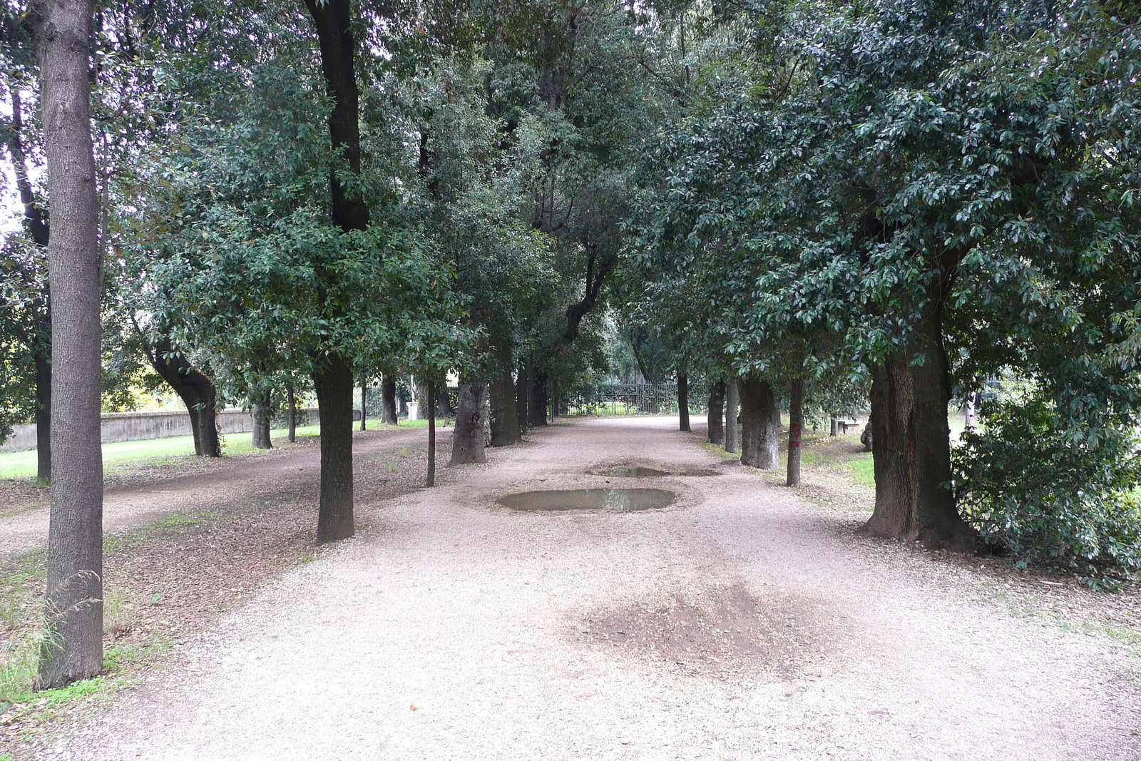 Picture Italy Rome Villa Doria Pamphili 2007-11 29 - Sight Villa Doria Pamphili