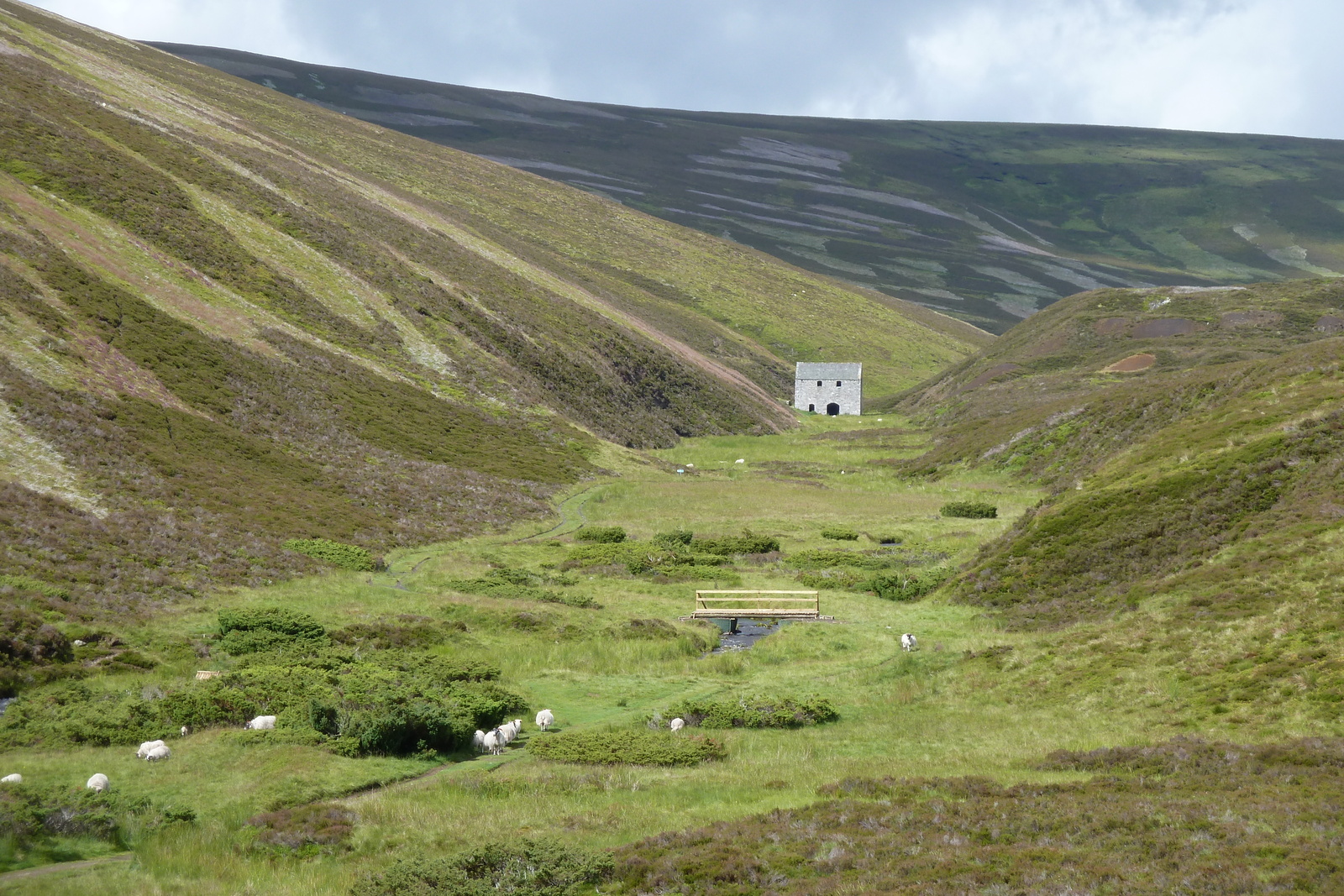 Picture United Kingdom Scotland 2011-07 25 - Photos Scotland