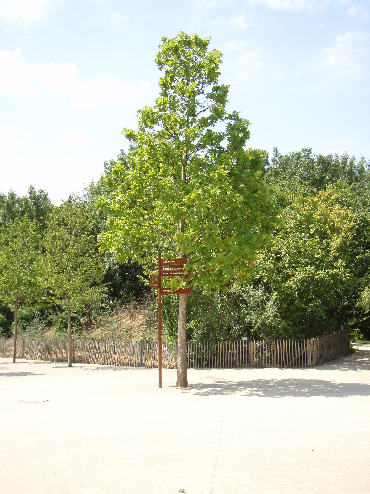 Picture France Villeneuve La Garenne Parc des Chanteraines 2007-07 3 - Travel Parc des Chanteraines