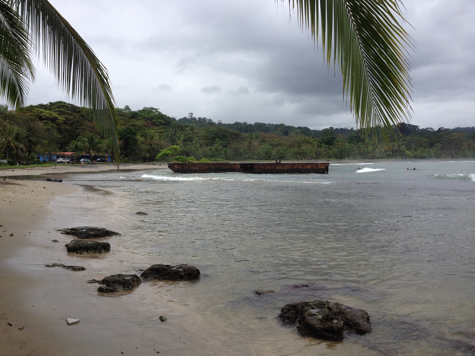 Picture Costa Rica Puerto Viejo de Talamanca 2015-03 145 - Photo Puerto Viejo de Talamanca