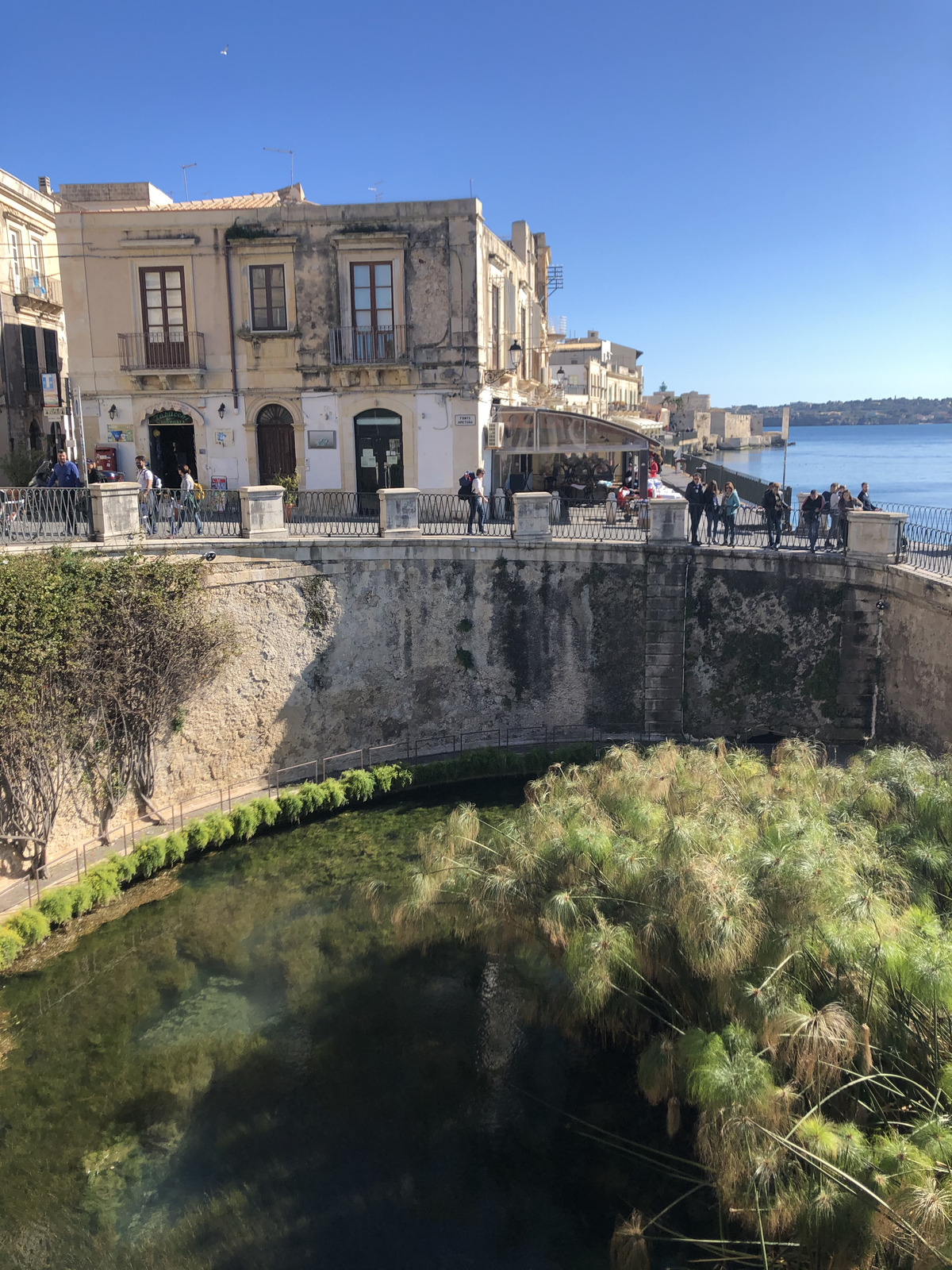 Picture Italy Sicily Ortigia 2020-02 11 - Travel Ortigia