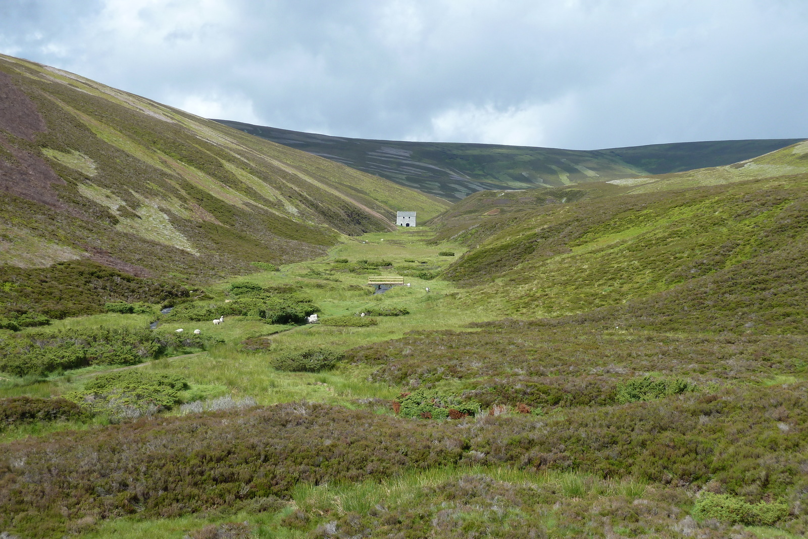 Picture United Kingdom Cairngorms National Park 2011-07 9 - Randonee Cairngorms National Park