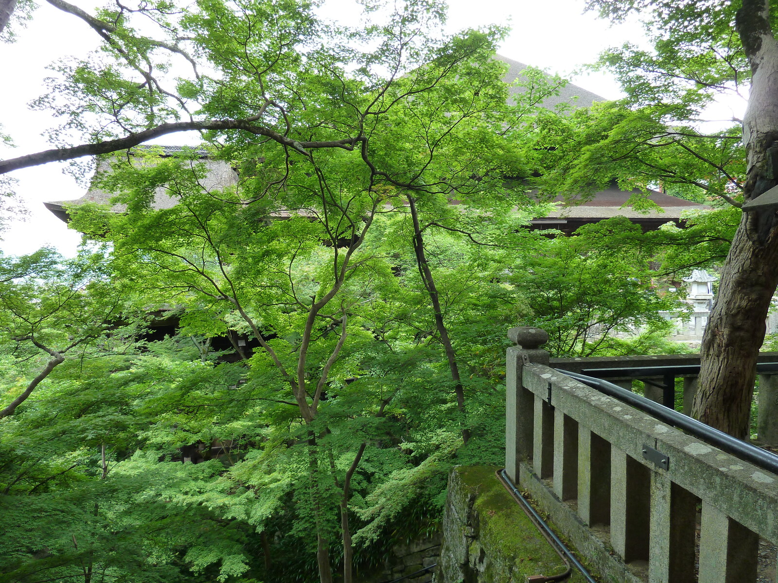 Picture Japan Kyoto Kiyomizu Dera Temple 2010-06 58 - Flights Kiyomizu Dera Temple