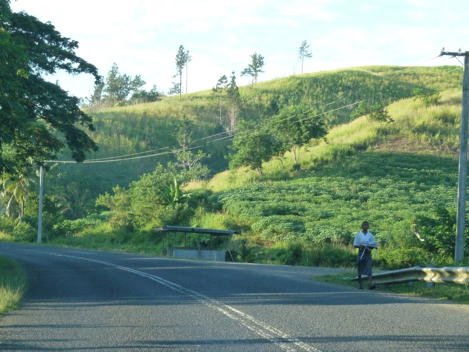 Picture Fiji Nadi to Sigatoka road 2010-05 39 - Car Nadi to Sigatoka road