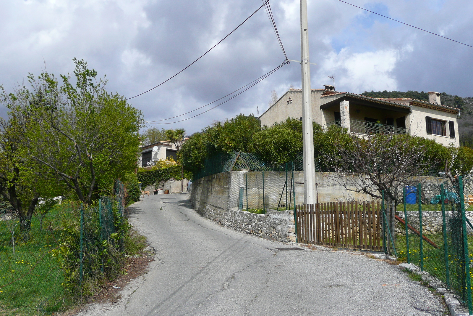 Picture France Vence Hauts de Vence 2008-03 22 - Photographer Hauts de Vence