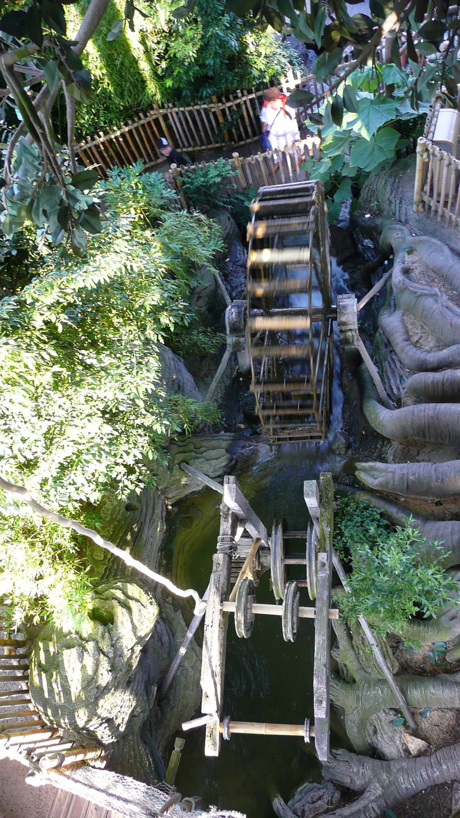 Picture France Disneyland Paris La Cabane des Robinson 2007-07 5 - Photos La Cabane des Robinson