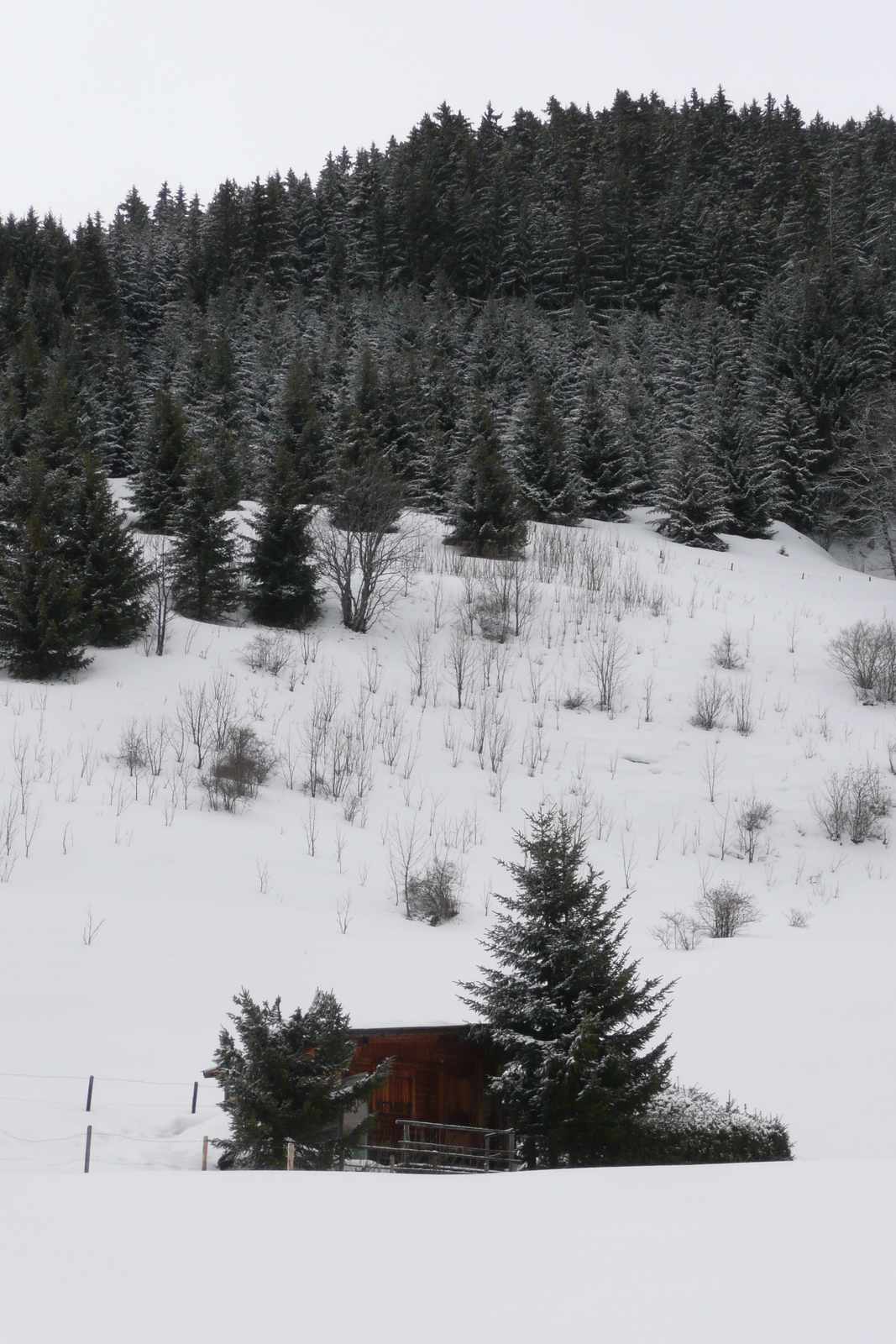 Picture France Megeve Le Planay 2010-02 48 - Sight Le Planay