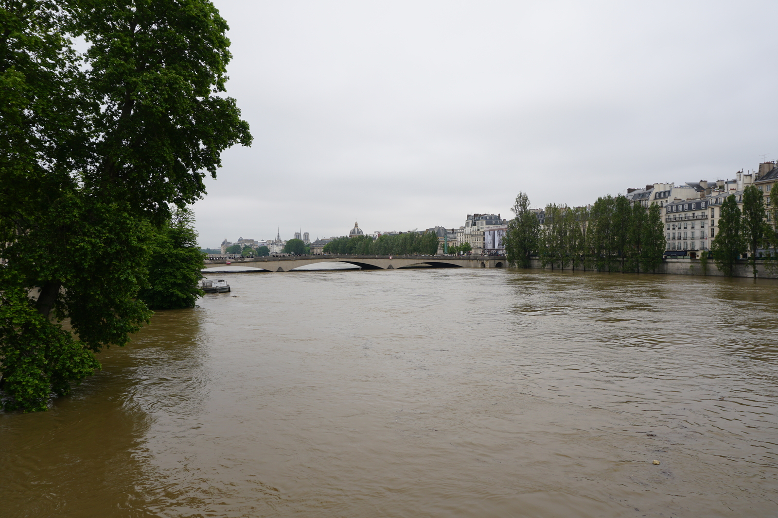 Picture France Paris Seine river 2016-06 41 - Car Seine river