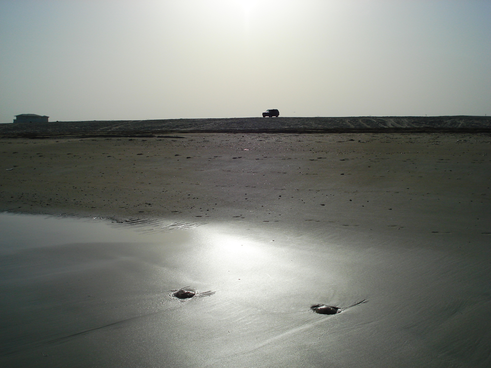 Picture United Arab Emirates Dubai Jumeirah Beach 2007-03 7 - Trail Jumeirah Beach