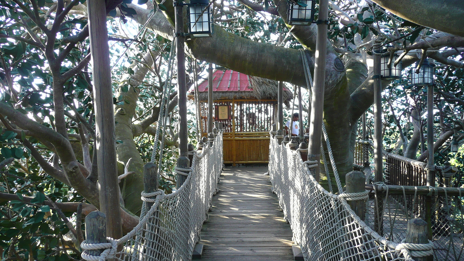 Picture France Disneyland Paris La Cabane des Robinson 2007-07 14 - Photos La Cabane des Robinson