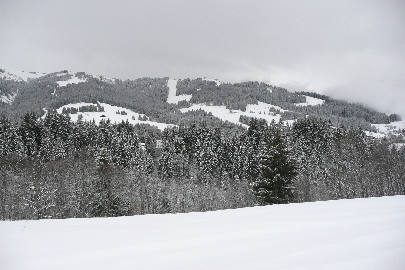 Picture France Megeve Le Planay 2010-02 14 - Photo Le Planay