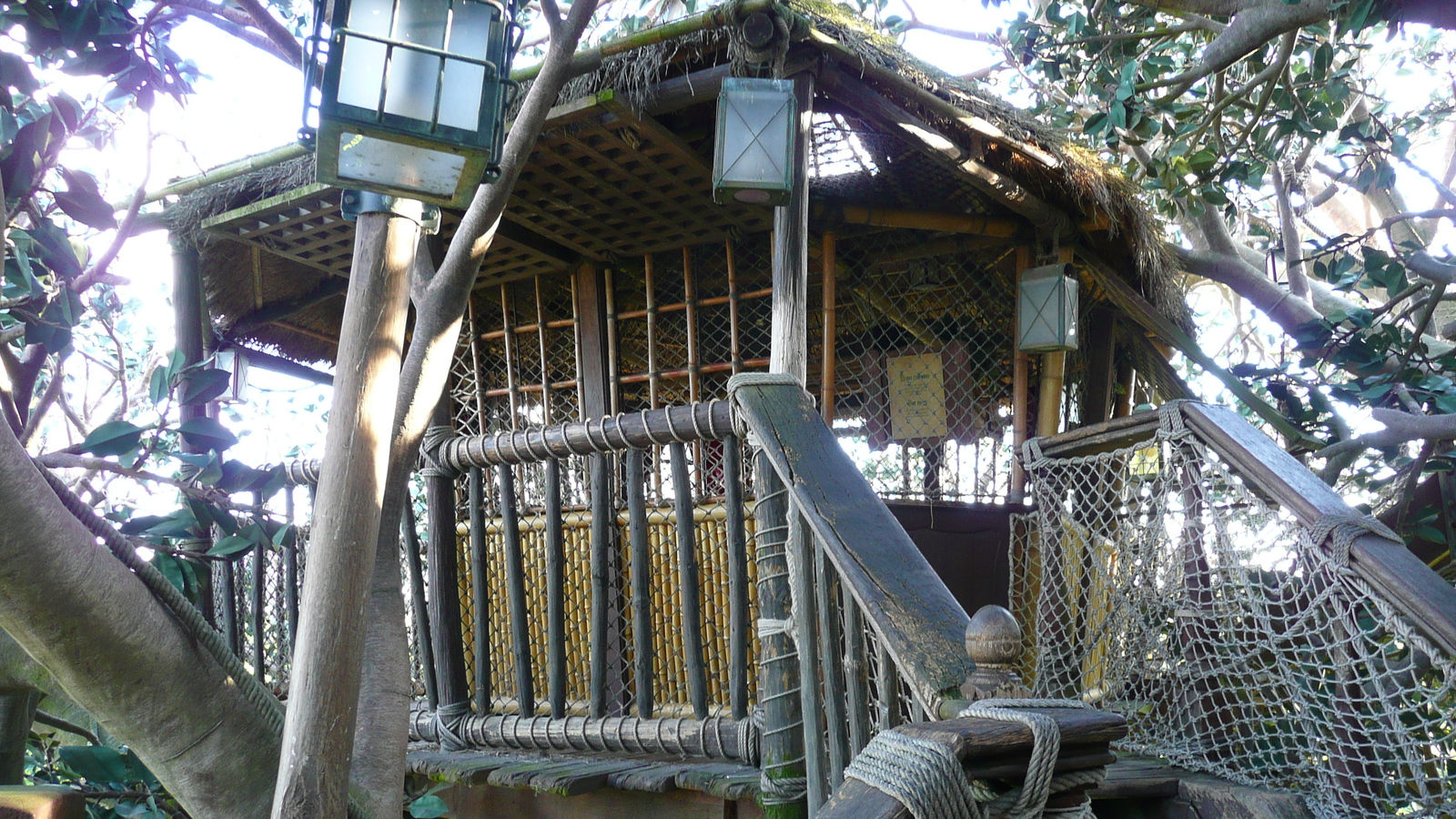 Picture France Disneyland Paris La Cabane des Robinson 2007-07 20 - Flight La Cabane des Robinson