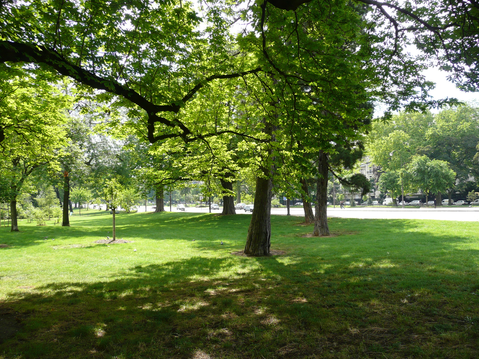 Picture France Paris Avenue Foch 2007-06 34 - Photographer Avenue Foch