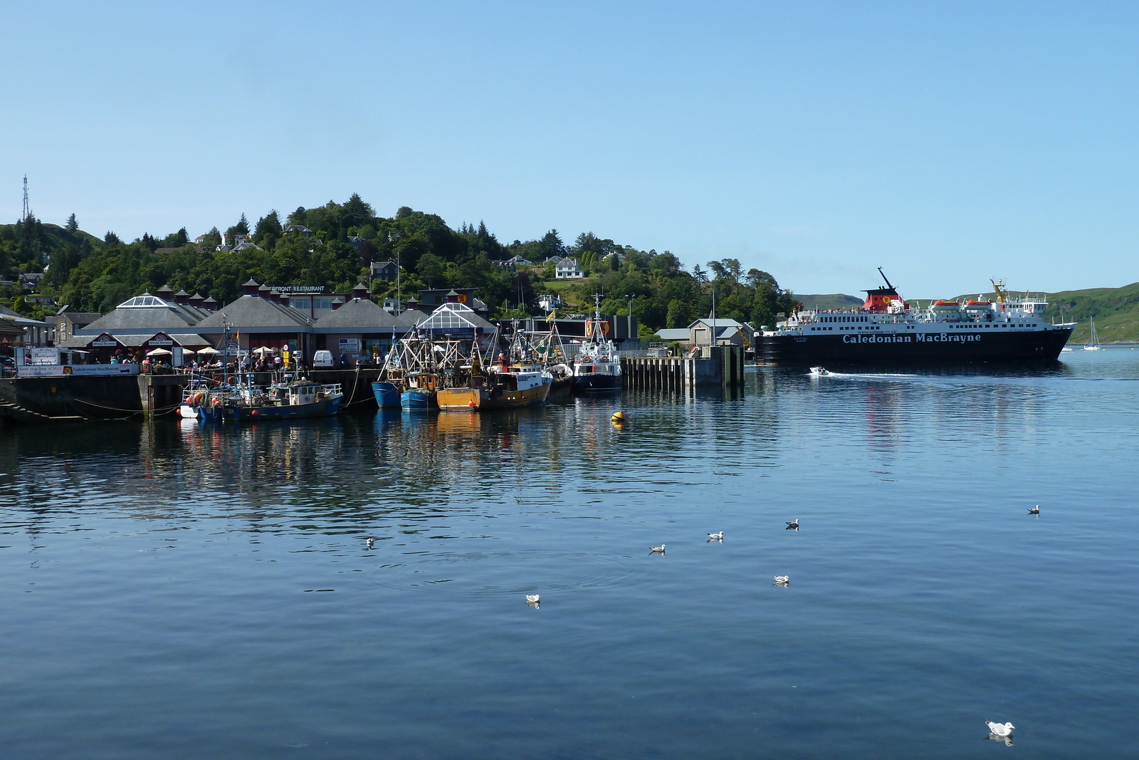 Picture United Kingdom Scotland Oban 2011-07 42 - Sight Oban